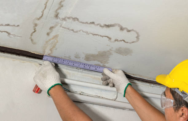 Reliable Mold Remediation contractor in Alma, MI by Water Damage Irwin
